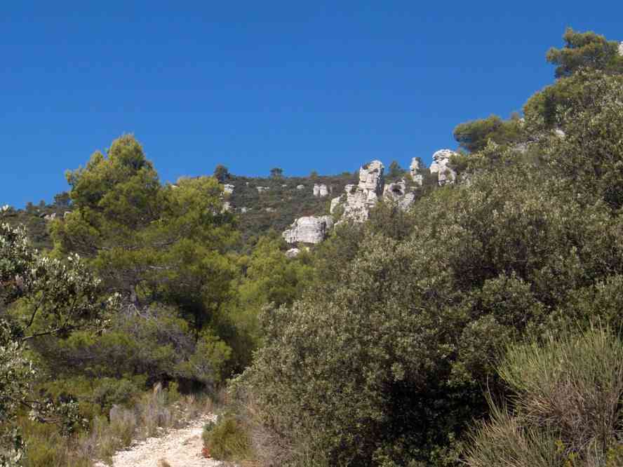 Le sentier du Haut Cauvet. Le vendredi 2 novembre 2007