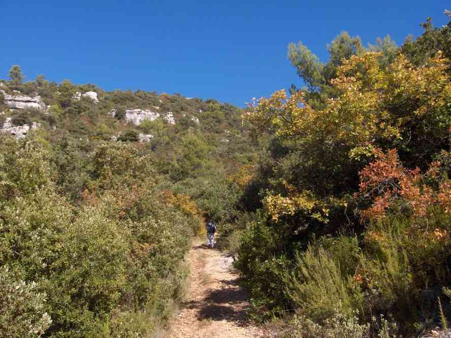 Sur le sentier du Haut Cauvet. Le vendredi 2 novembre 2007