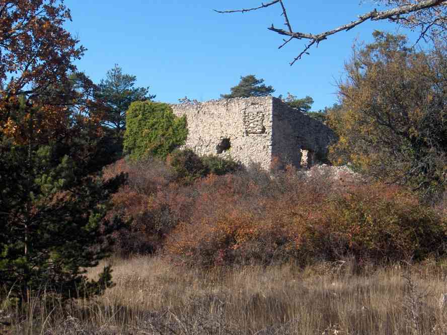 Ferme en ruines près de laquelle nous avons pique-niqué. Le vendredi 2 novembre 2007