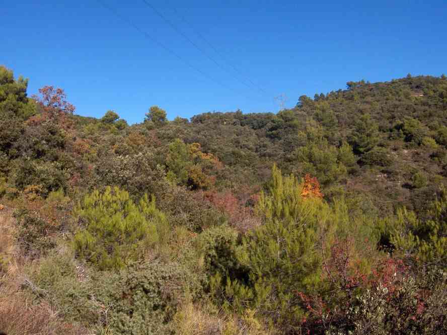 Montée au-dessus de la gorge de Lavène. Le samedi 3 novembre 2007