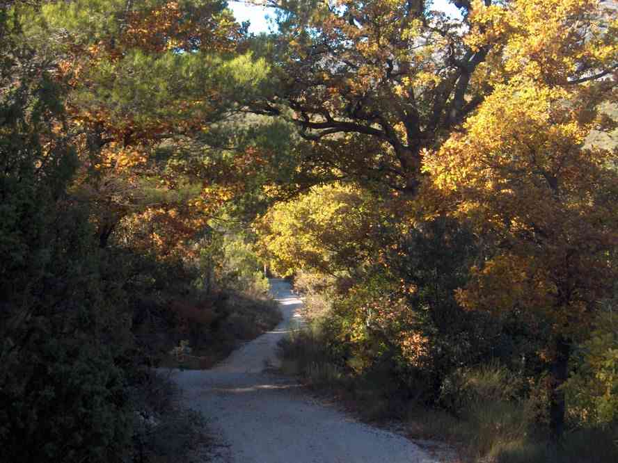 À proximité de l’Adret des Fontêtes. Le samedi 3 novembre 2007