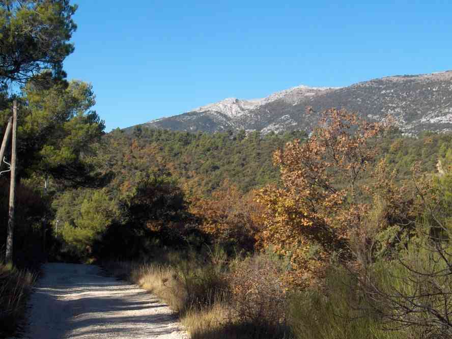 Vue sur la Sainte-Baume. Le samedi 3 novembre 2007
