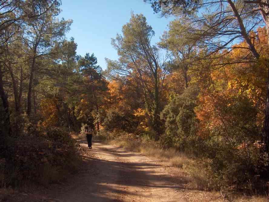 À proximité de l’Adret des Fontêtes. Le samedi 3 novembre 2007