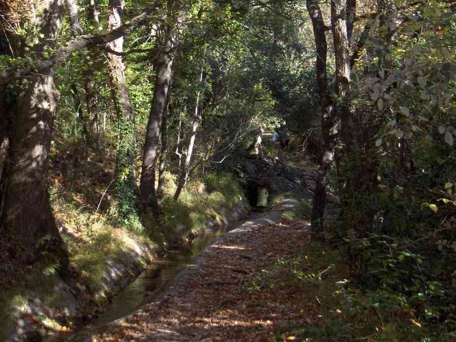 Marche le long d’un « bisse » sur une vingtaine de mètres. Le samedi 3 novembre 2007
