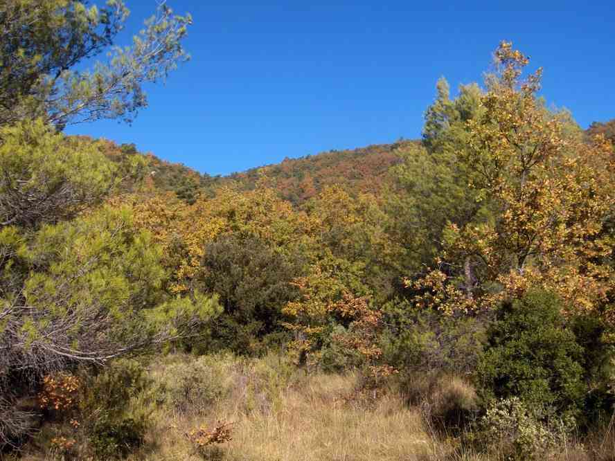 Montée vers le col des Glacières. Le samedi 3 novembre 2007