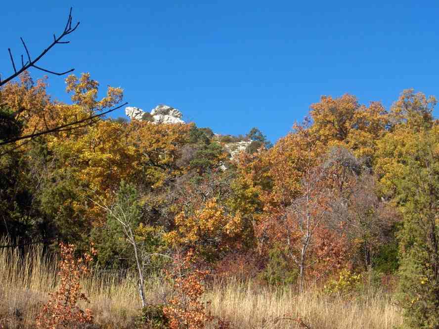 Montée vers le col des Glacières. Le samedi 3 novembre 2007
