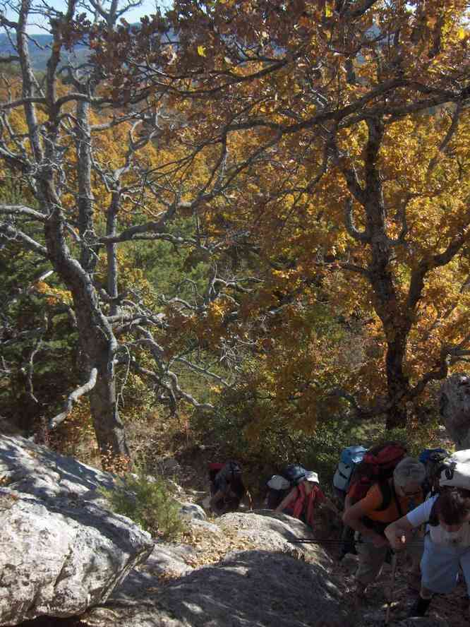 Un passage de mini escalade. Le samedi 3 novembre 2007