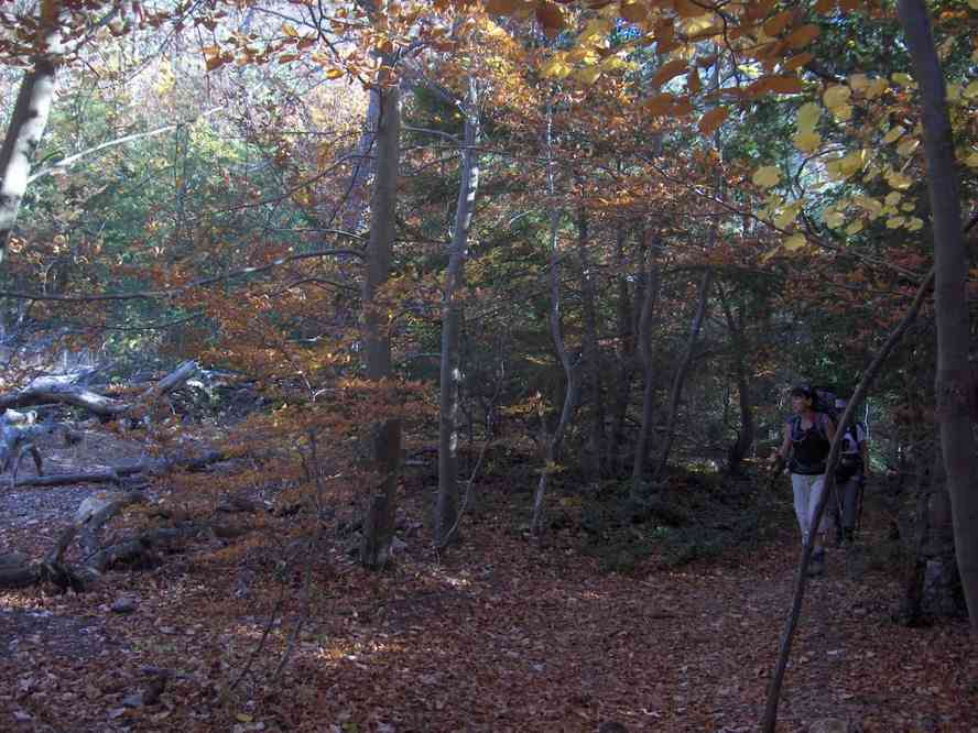 Corinne Moser est sur le point de piquer sa crise ! Le samedi 3 novembre 2007