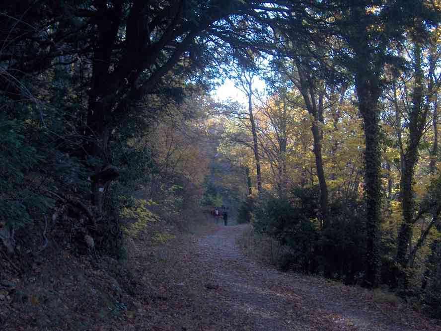 On se croirait à Fontainebleau... Le samedi 3 novembre 2007
