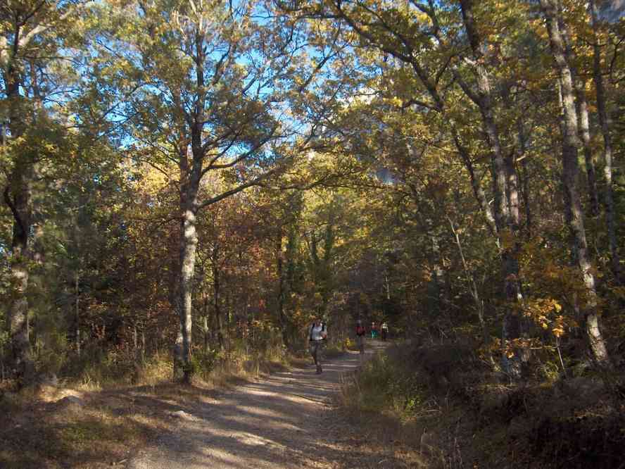 Sur le Sentier Merveilleux sous la falaise de la Sainte-Baume. Le samedi 3 novembre 2007