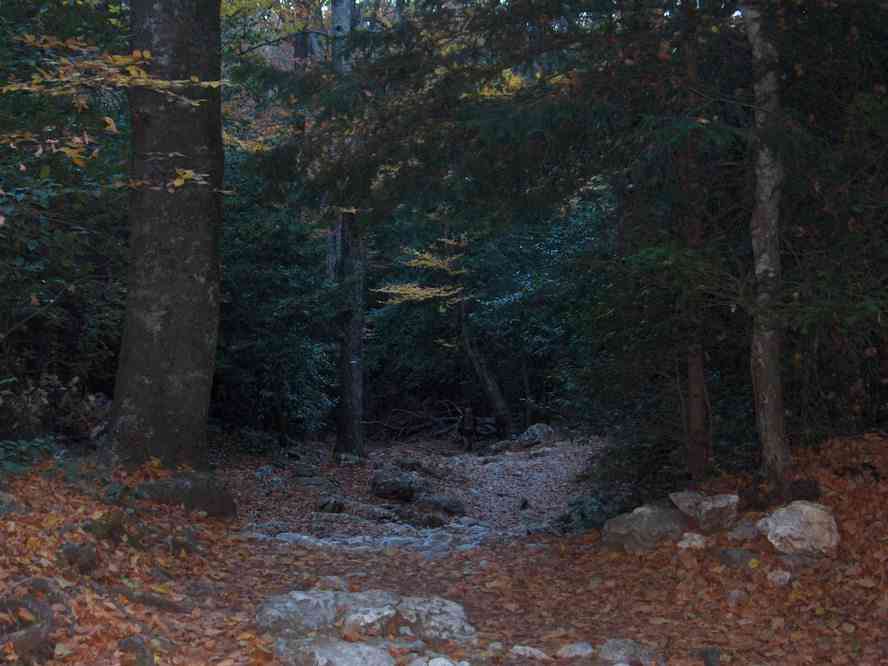 Montée vers la grotte de Marie-Madeleine par le sentier du Canapé. Le dimanche 4 novembre 2007