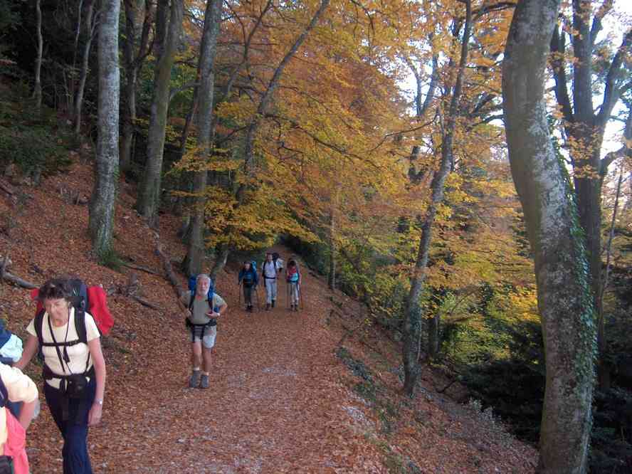 Montée vers la grotte de Marie-Madeleine par le sentier du Canapé. Le dimanche 4 novembre 2007