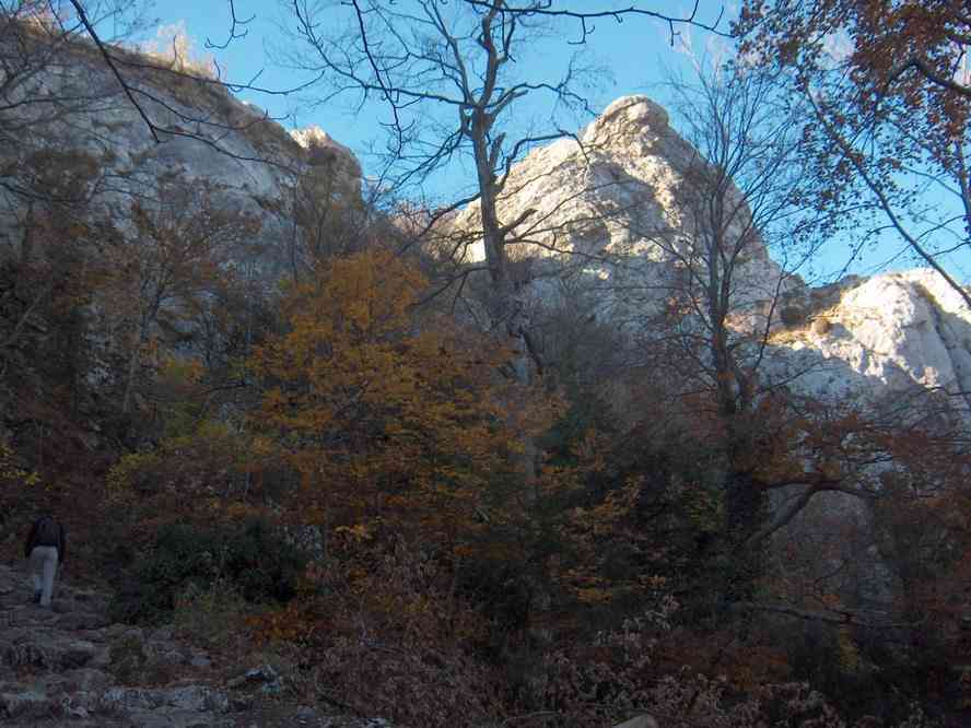 Montée vers le col du Saint-Pilon. Le dimanche 4 novembre 2007