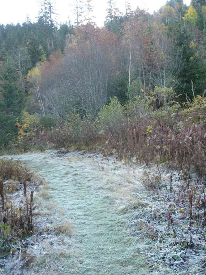 Fait frisquet ce matin ! Le samedi 15 octobre 2011