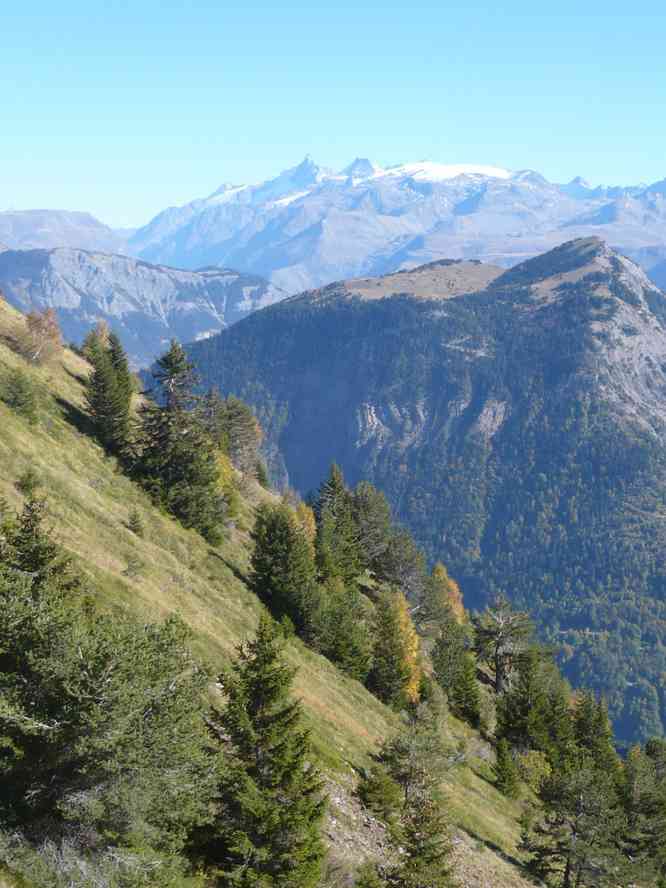 Pendant la descente. Le samedi 15 octobre 2011