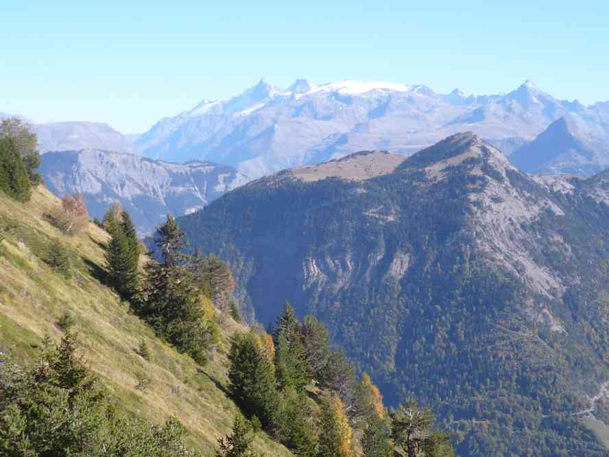 Pendant la descente. Le samedi 15 octobre 2011
