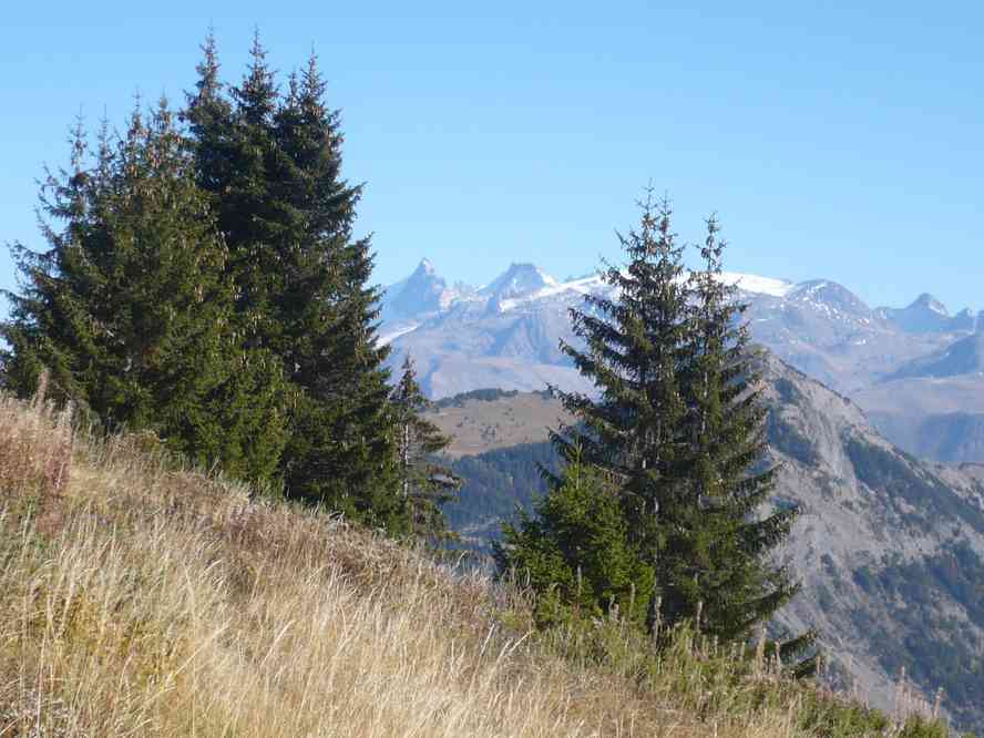 Pendant la descente. Le samedi 15 octobre 2011