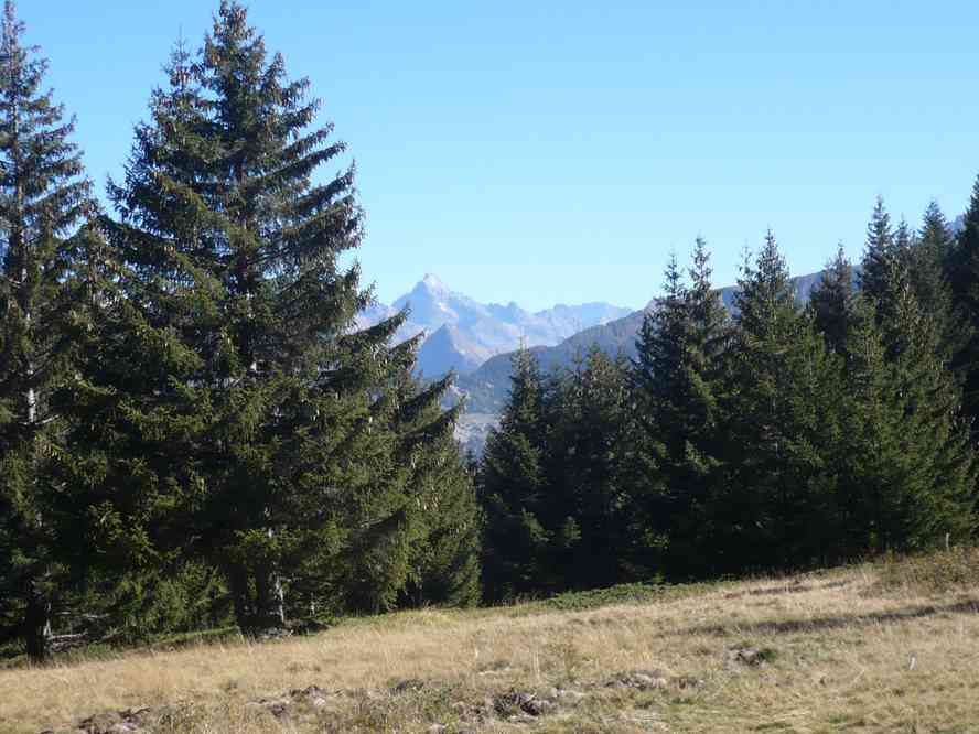 Pendant la descente. Le samedi 15 octobre 2011