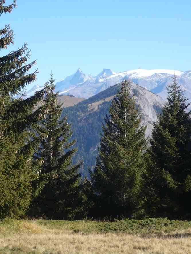 Pendant la descente. Le samedi 15 octobre 2011