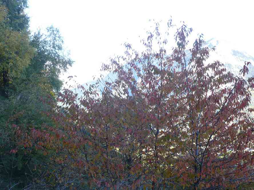 Pendant la descente. Le samedi 15 octobre 2011