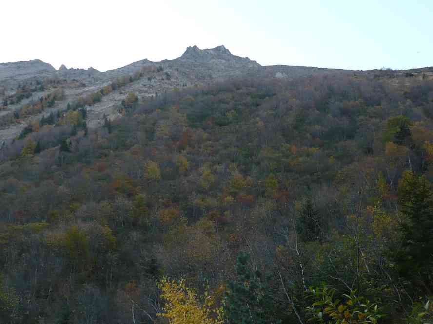 Couleurs automnales... Le dimanche 16 octobre 2011