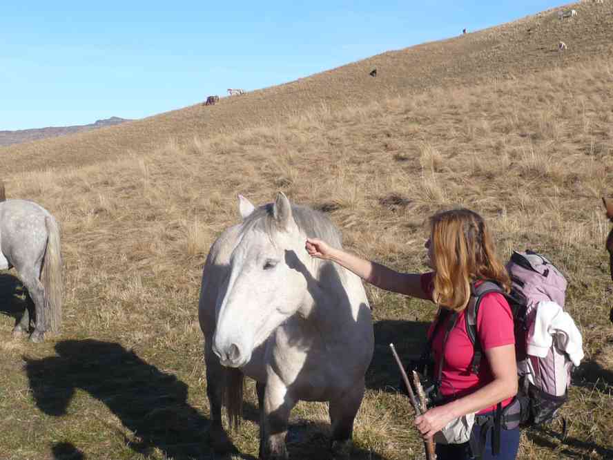 Ouh qu’il est gentil ! Le dimanche 16 octobre 2011
