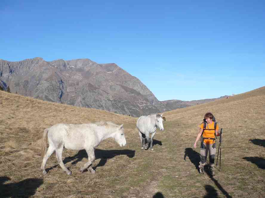 Les chevaux du col de Corbière. Le dimanche 16 octobre 2011