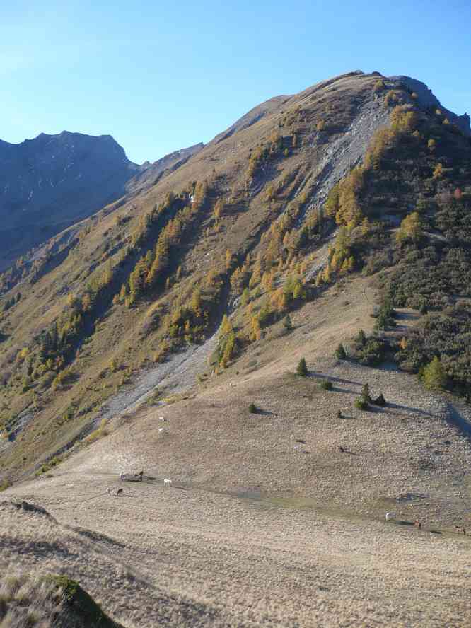 Y en a qui auraient préféré monter en face... Le dimanche 16 octobre 2011