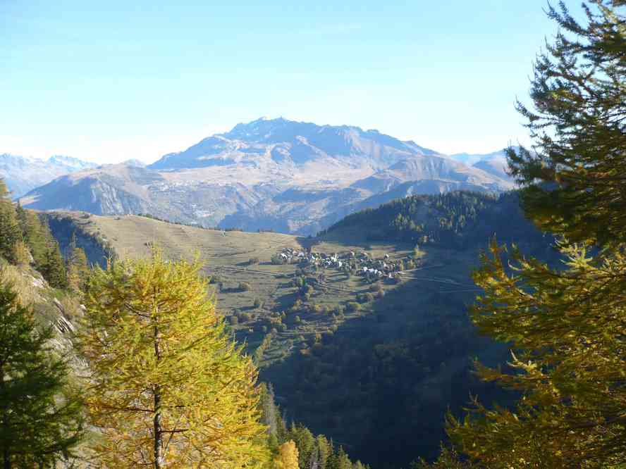 Les premiers mélèzes... et en fait les seuls. Le dimanche 16 octobre 2011
