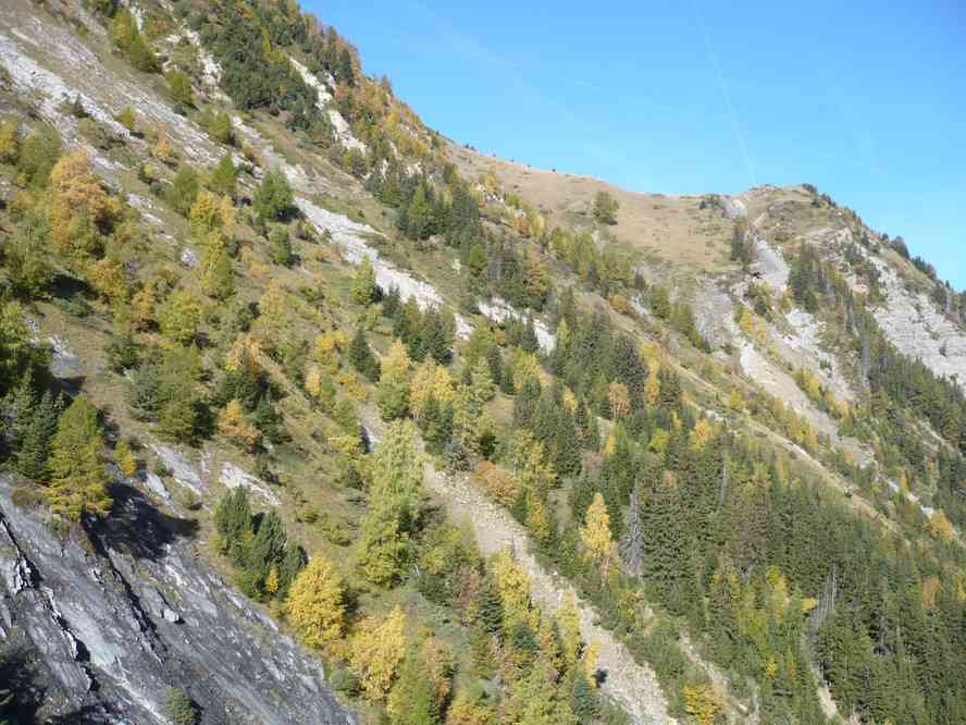 On a déjà descendu tout ça... et ce n’est pas fini ! Le dimanche 16 octobre 2011