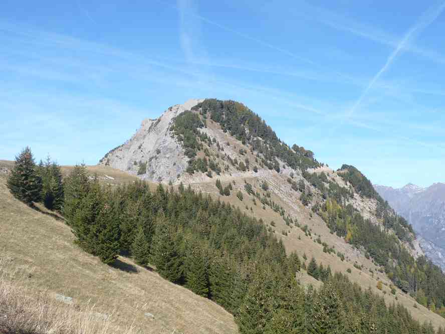 La voie est toute tracée. Le dimanche 16 octobre 2011