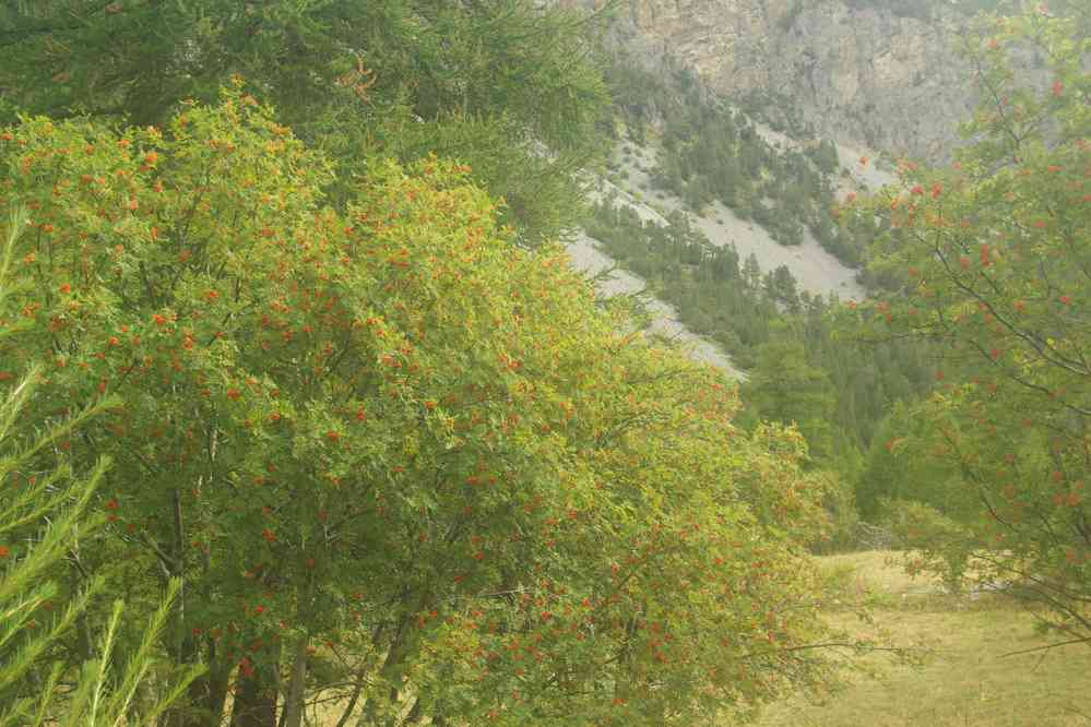 Vallée Étroite. Le dimanche 18 septembre 2016
