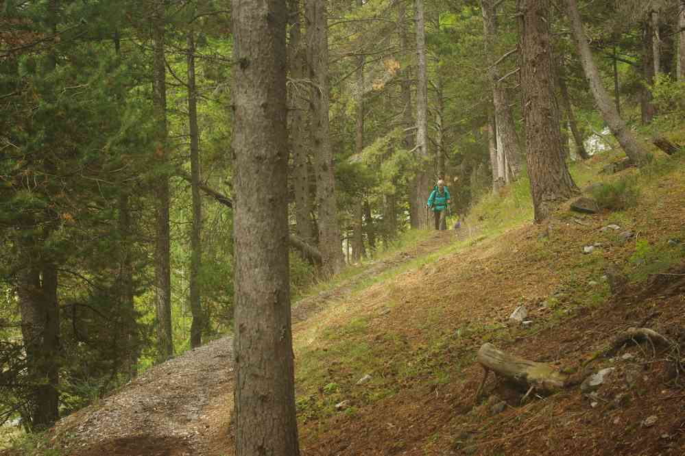 Sentier forestier. Le dimanche 18 septembre 2016