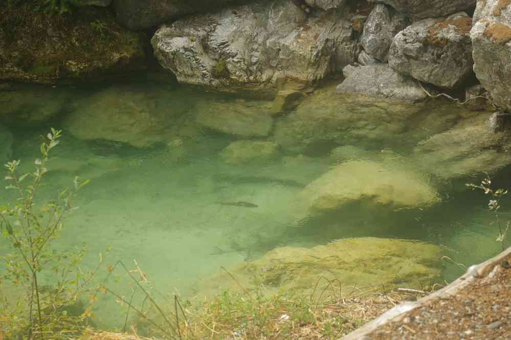 La pêche est gardée. Le dimanche 18 septembre 2016