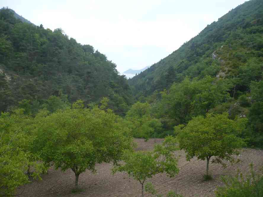 Départ du sentier au-dessus de la D 158. Le jeudi 2 juin 2011
