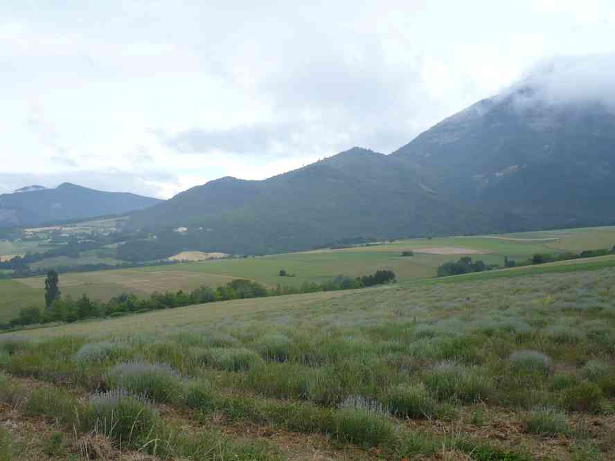 Au col de la Borne. Le jeudi 2 juin 2011
