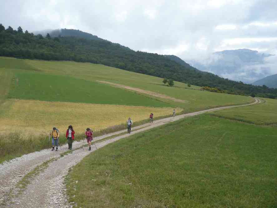 Profitons-en, ça va bientôt monter ! Le jeudi 2 juin 2011