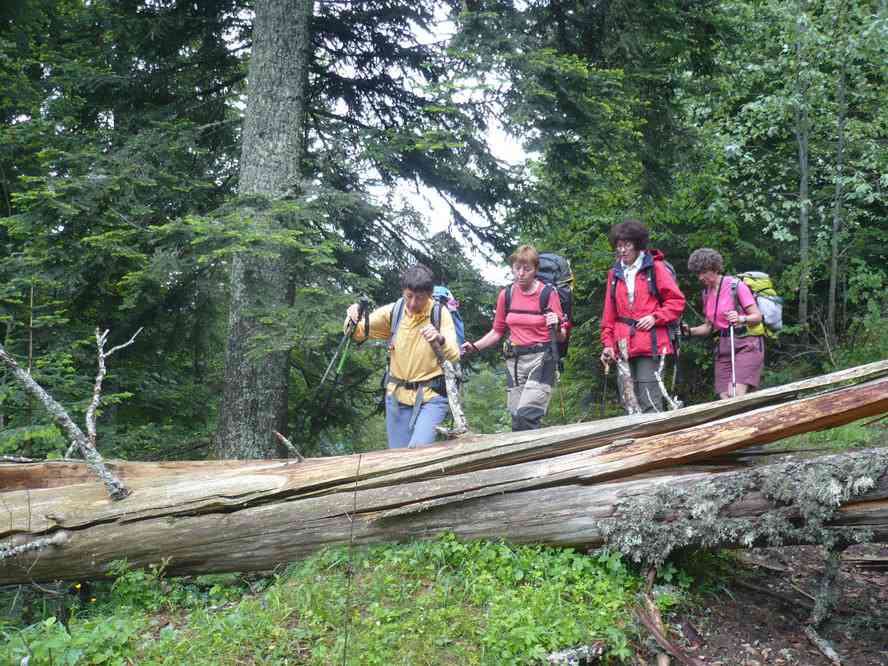 Odile se préparant à franchir l’obstacle... Le vendredi 3 juin 2011