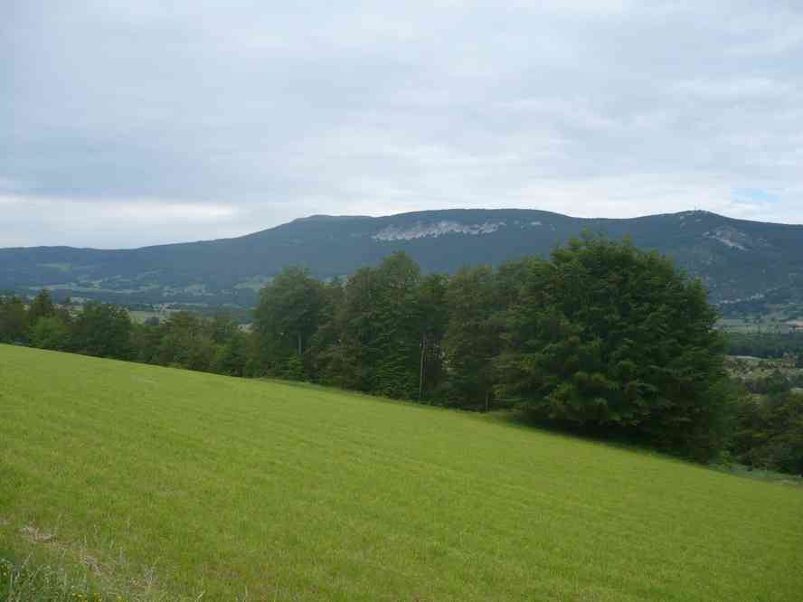 Je ne me souviens plus trop où c’était... Le vendredi 3 juin 2011