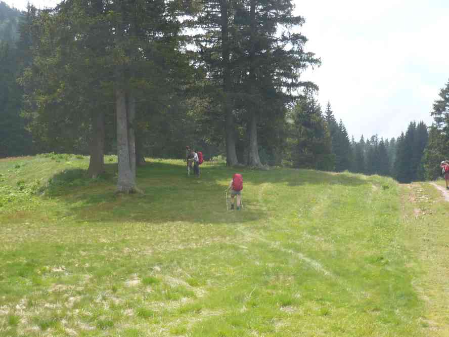 Enfin le pique-nique ! Le samedi 4 juin 2011