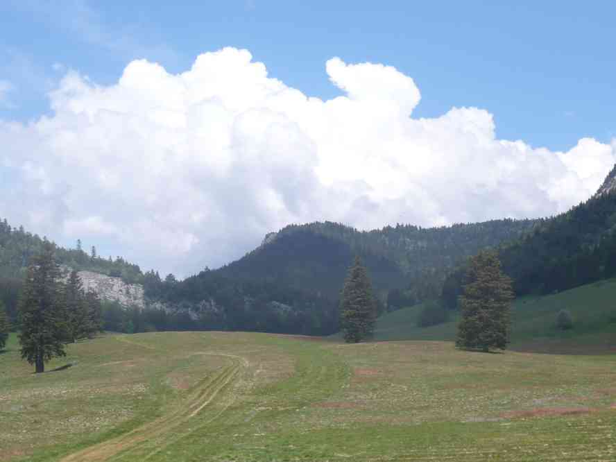 La combe d’Herbouilly. Le samedi 4 juin 2011