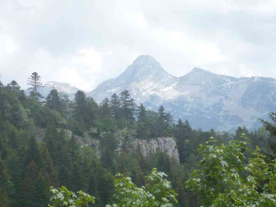 La grande et la petite Moucherolle. Le samedi 4 juin 2011