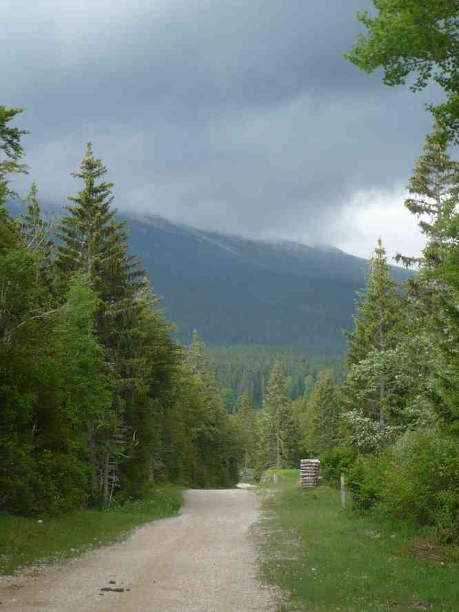 Bon quand même, ne traînons pas trop ! Le samedi 4 juin 2011