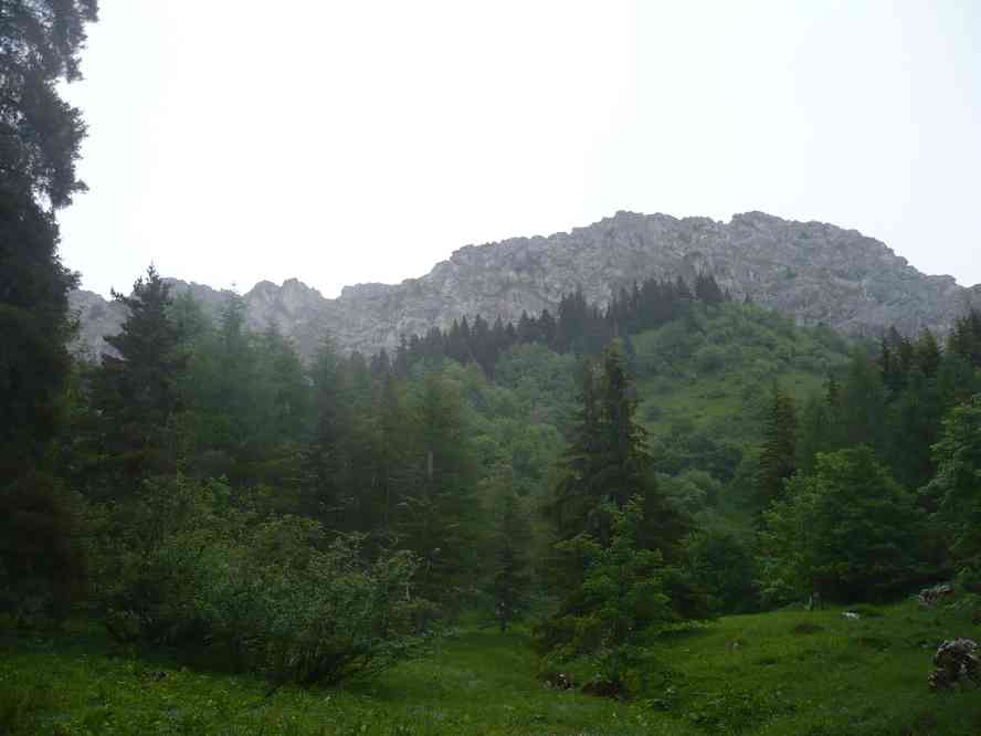 La dernière photo avant... Le dimanche 5 juin 2011