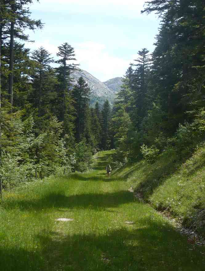 Là le chef s’était trompé mais c’était quand même pas mal... Le dimanche 5 juin 2011
