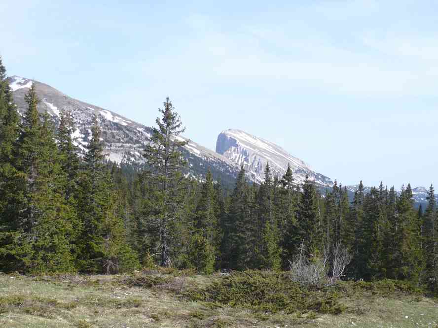 Le Grand Veymont : c’est là haut qu’on devait monter c’est ça ? Le jeudi 17 mai 2012