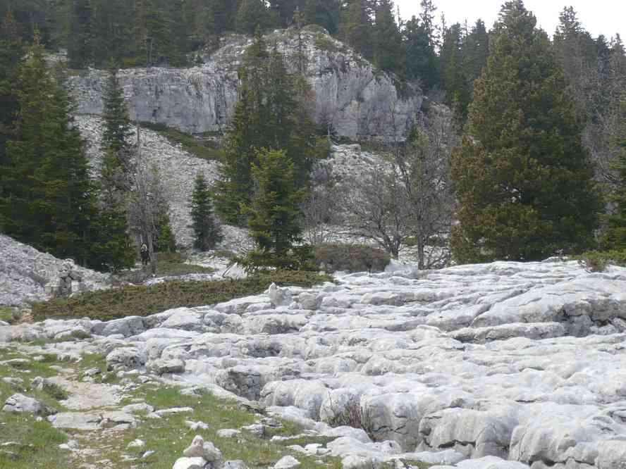 Lapiaz. Le vendredi 18 mai 2012