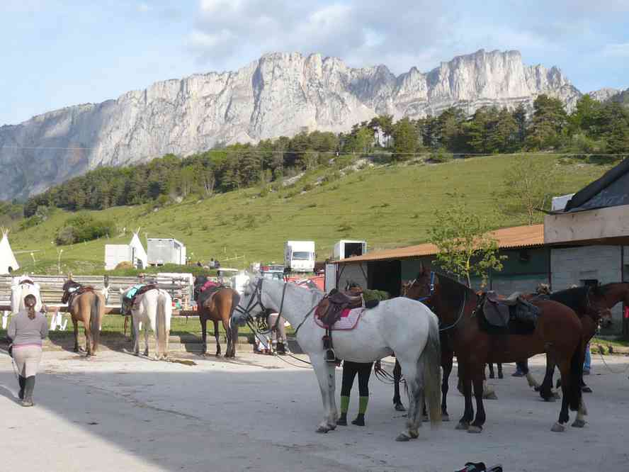 Nos voisins les canassons. Le dimanche 20 mai 2012
