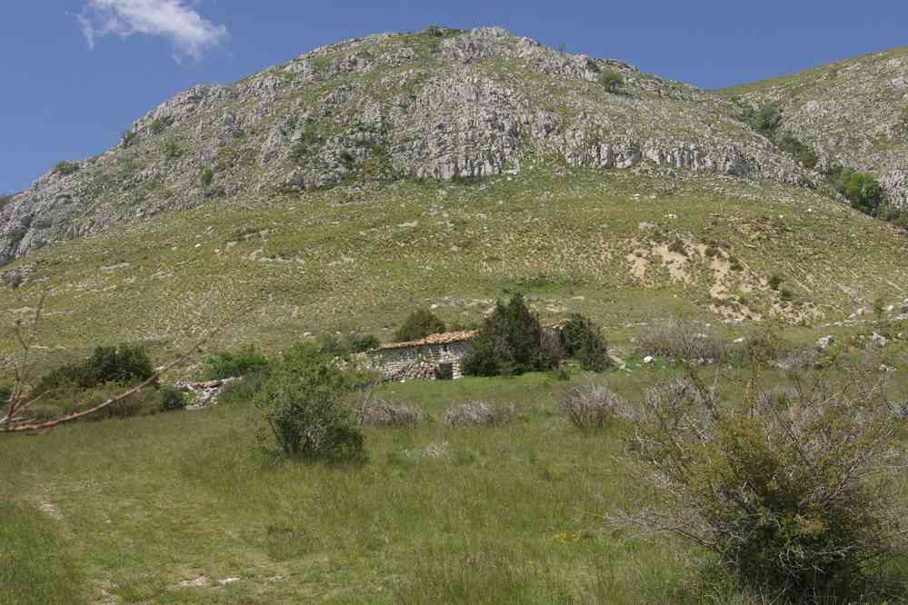 Mas provençal au niveau de la voie romaine. Le vendredi 18 mai 2007