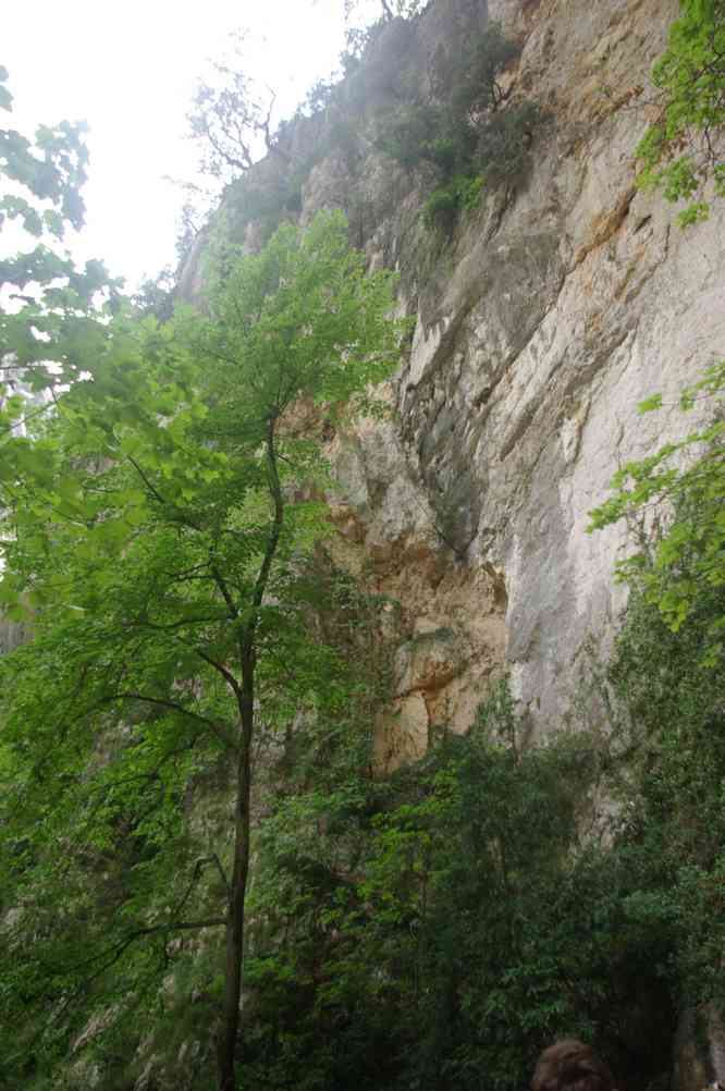 Le départ de la « sortie Vidal ». Le dimanche 20 mai 2007
